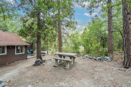Coffey Road, Forest Falls, California 92339, Stati Uniti