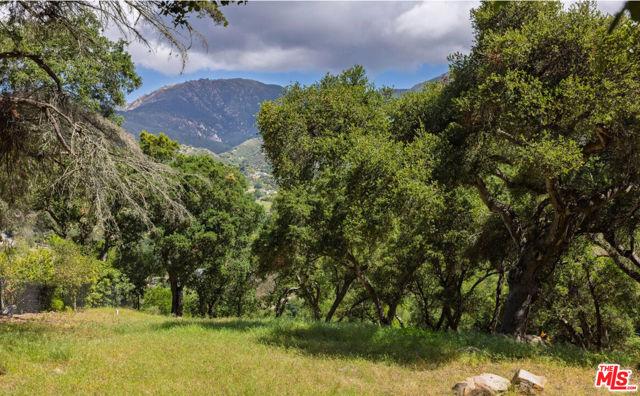 Las Alturas Road, Santa Barbara, Kaliforniya 93103, Amerika Birleşik Devletleri