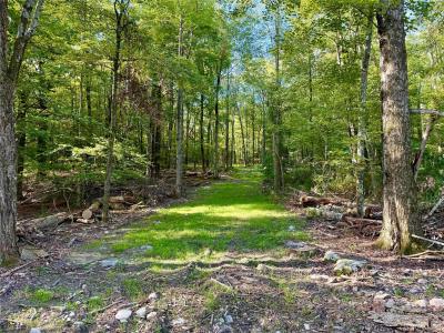 Mt Prosper Road, Mamakating, Nueva York 12790, Estados Unidos