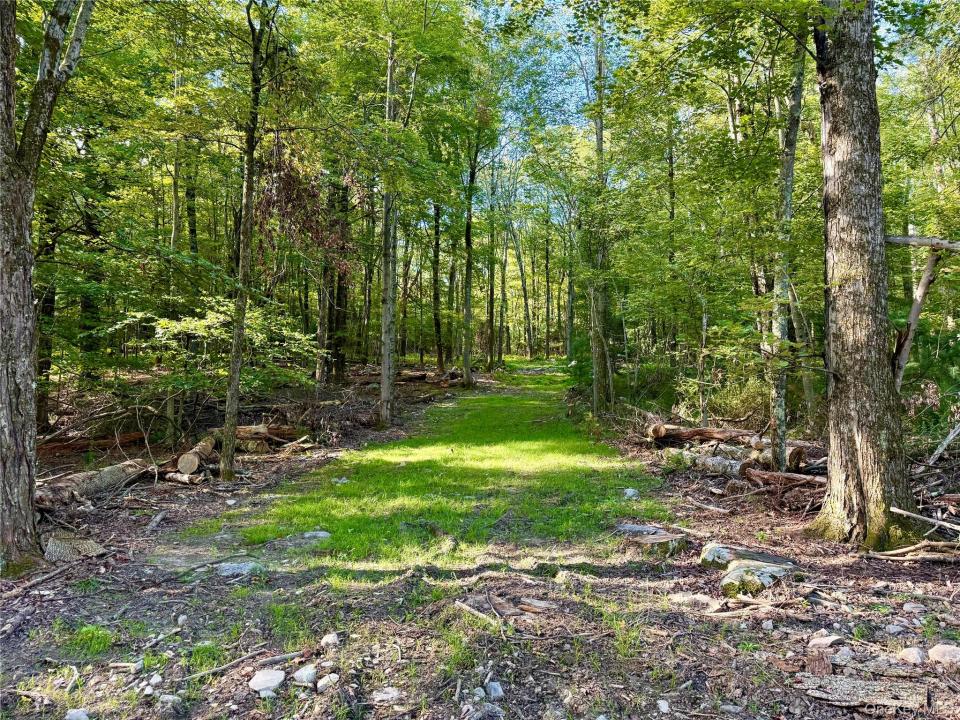 Mt Prosper Road, Mamakating, Nueva York 12790, Estados Unidos