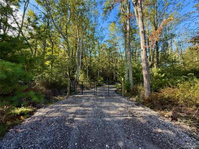 Mt Prosper Road, Mamakating, Nueva York 12790, Estados Unidos