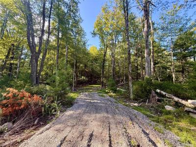 Mt Prosper Road, Mamakating, Nueva York 12790, Estados Unidos