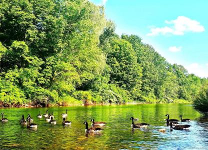 12 Riverside Drive, Fallsburg, New York 12788, USA