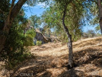 Parkhill Road, Santa Margarita, 캘리포니아 93453, 미국