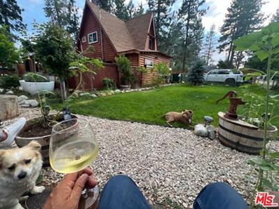 W Fairway Boulevard, Big Bear City, California 92314