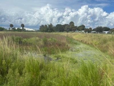 1202 NW 8th Ave, Okeechobee, Floryda 34972, USA