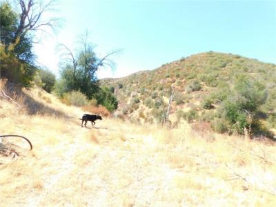 Parkhill Road, Santa Margarita, Kaliforniya 93453, Amerika Birleşik Devletleri