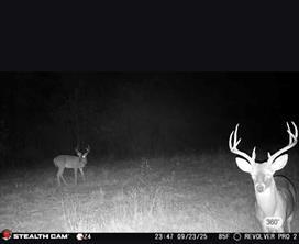 HWY 80, Mineola, تكساس 75773, الولايات المتحدة