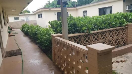 803 NE 8th St, Hallandale Beach, Florida 33009