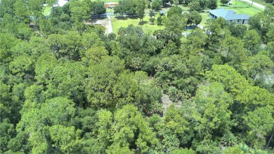 409 MONTURA  AVE, Clewiston, Florida 33440, Estados Unidos