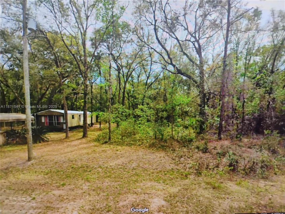 121 BUCKLES, Palatka, Florida 32148, Amerika Birleşik Devletleri