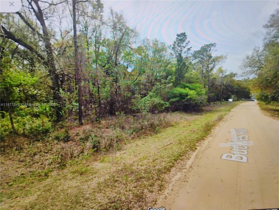 121 BUCKLES, Palatka, Florida 32148, Amerika Birleşik Devletleri