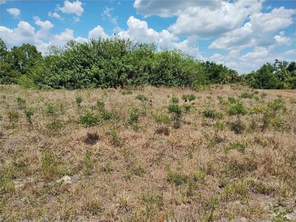 00 Casco, North Port, Флорида 34288, Соединенные Штаты