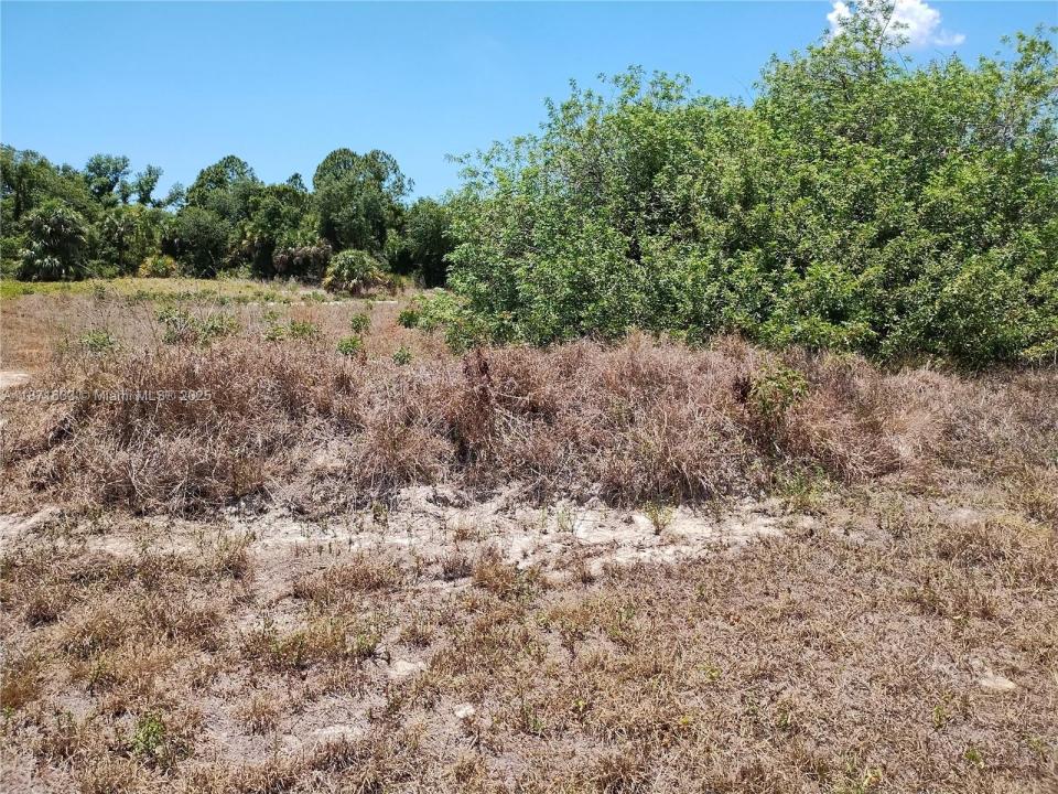 00 Casco, North Port, Флорида 34288, Соединенные Штаты