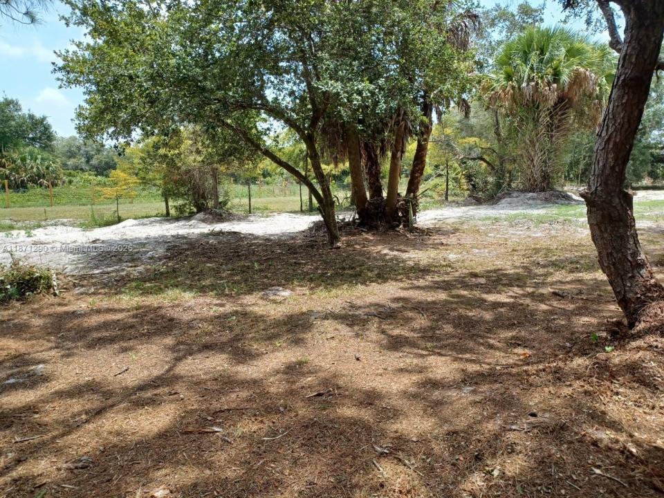 17010 NW 270th st, Okeechobee, Florida 34972, HOA KỲ