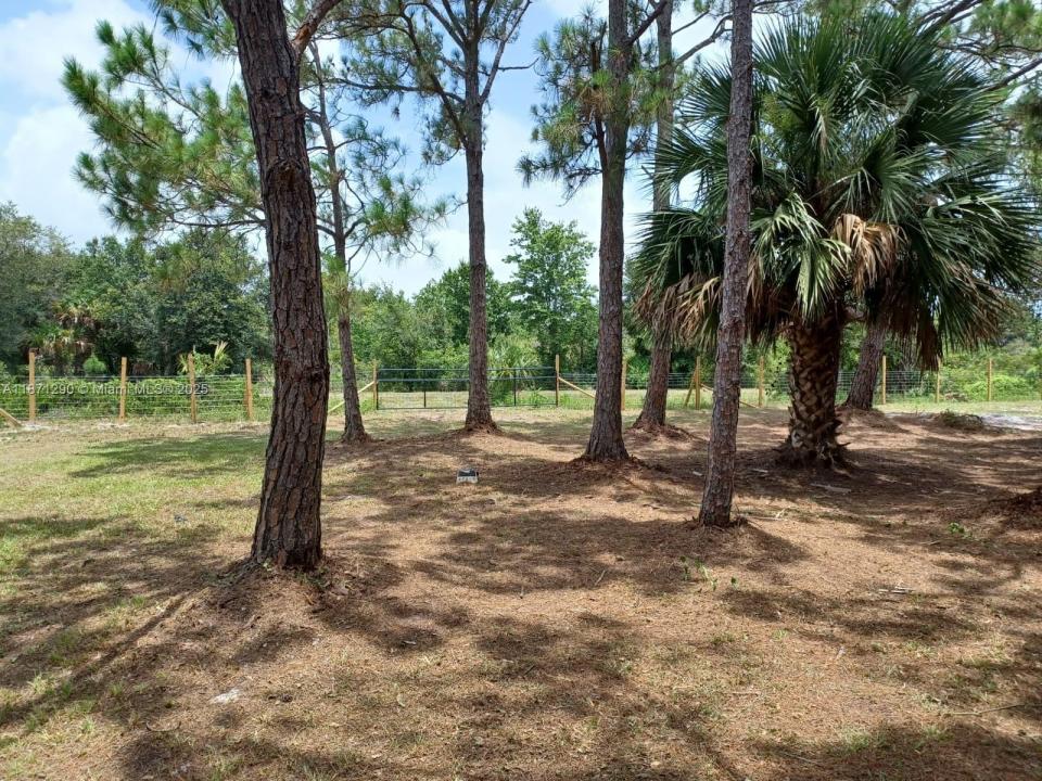 17010 NW 270th st, Okeechobee, Florida 34972, HOA KỲ