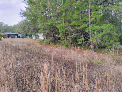 309 Wilson, Palatka, Flórida 32148, Estados Unidos