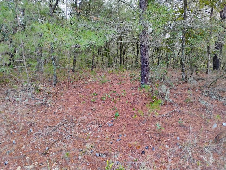 302 Kennedy, Palatka, Florida 32148