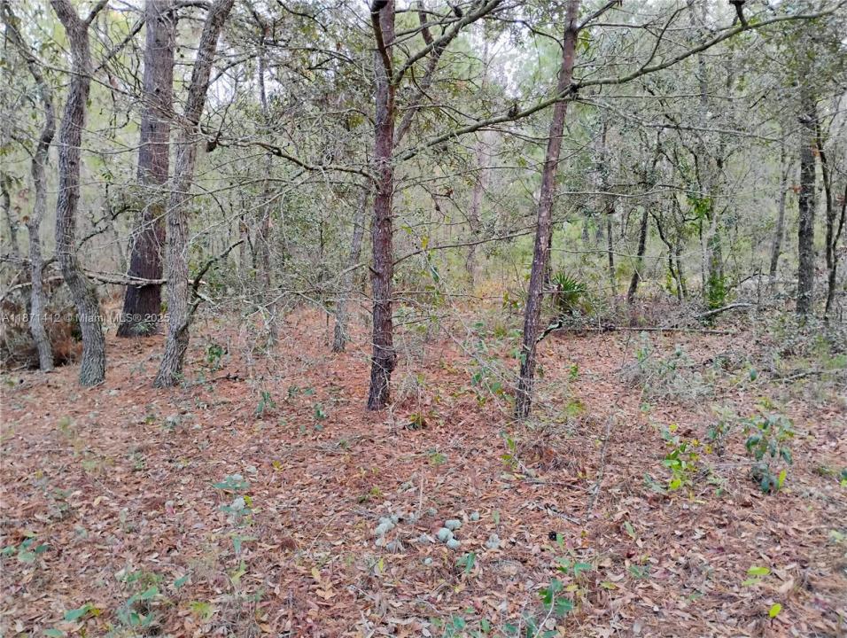 302 Kennedy, Palatka, Florida 32148
