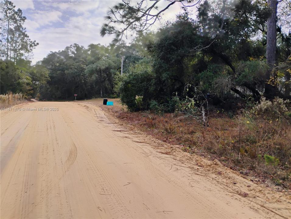 103 Antler, Palatka, Florida 32148, Stati Uniti