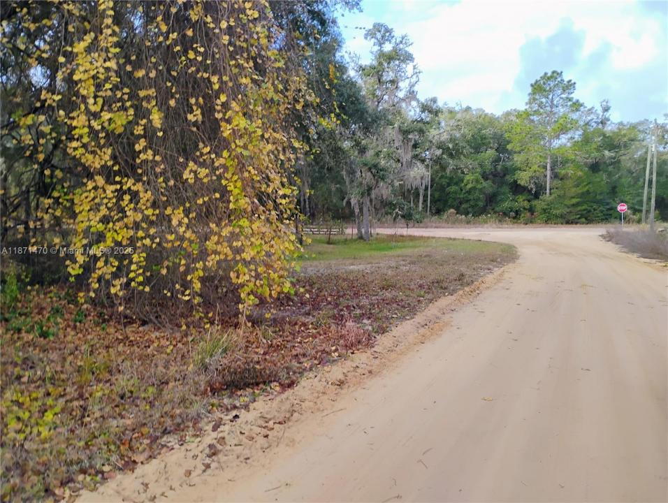 103 Antler, Palatka, Florida 32148, Stati Uniti