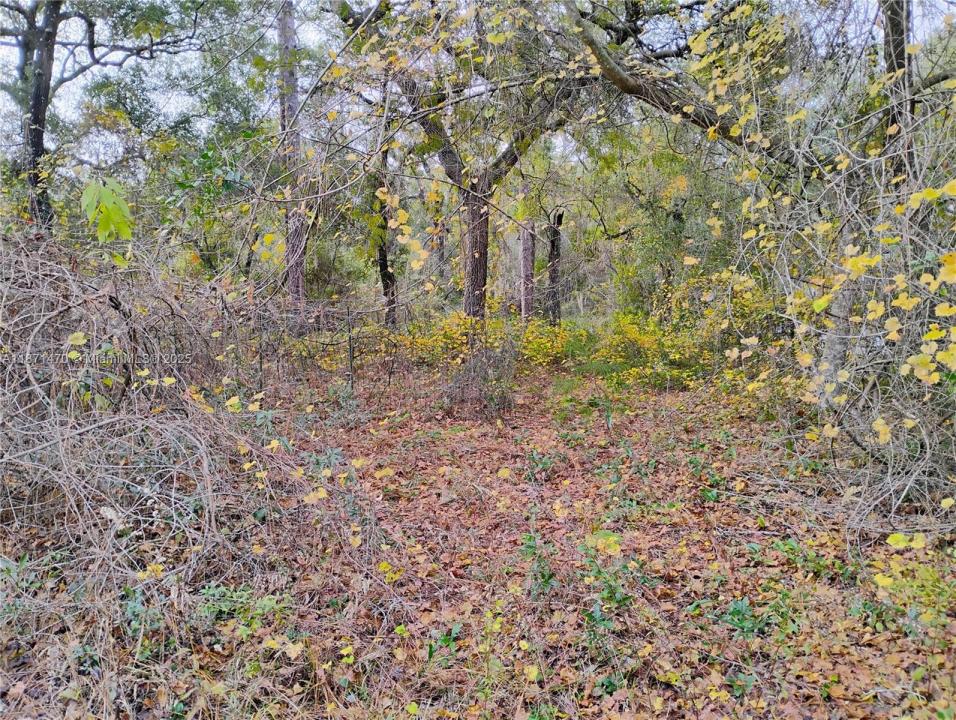 103 Antler, Palatka, Florida 32148, Stati Uniti