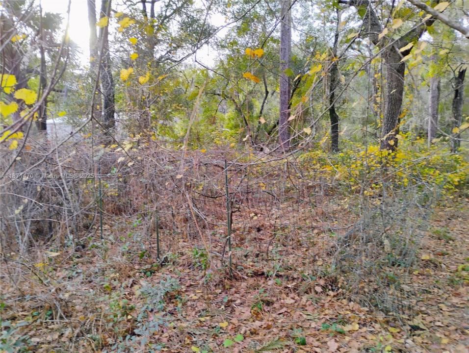 103 Antler, Palatka, Florida 32148, Stati Uniti