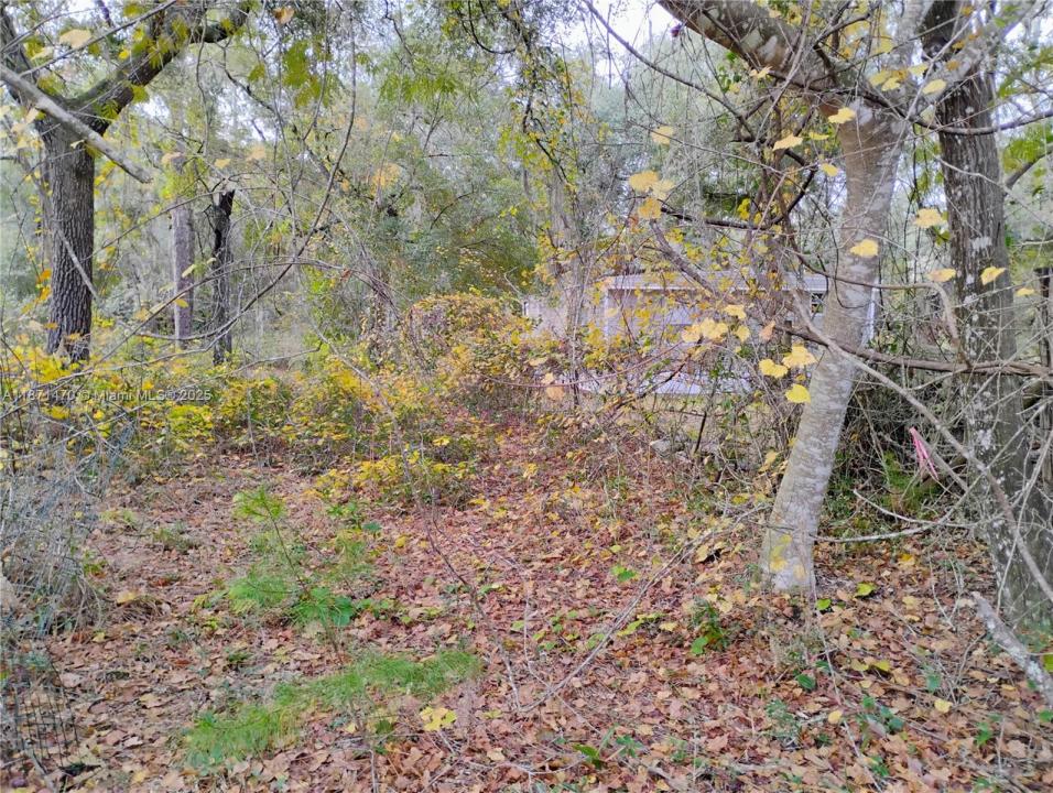 103 Antler, Palatka, Florida 32148, Stati Uniti