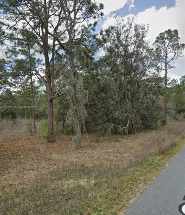 UNDETERMINED SW 130th Ave, Other City - In The State Of Florida, Florida 34432
