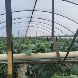 17300 Glades Cut Off Road, Port Saint Lucie, 플로리다 34987, 미국