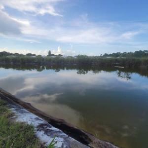 17300 Glades Cut Off Road, Port Saint Lucie, 플로리다 34987, 미국