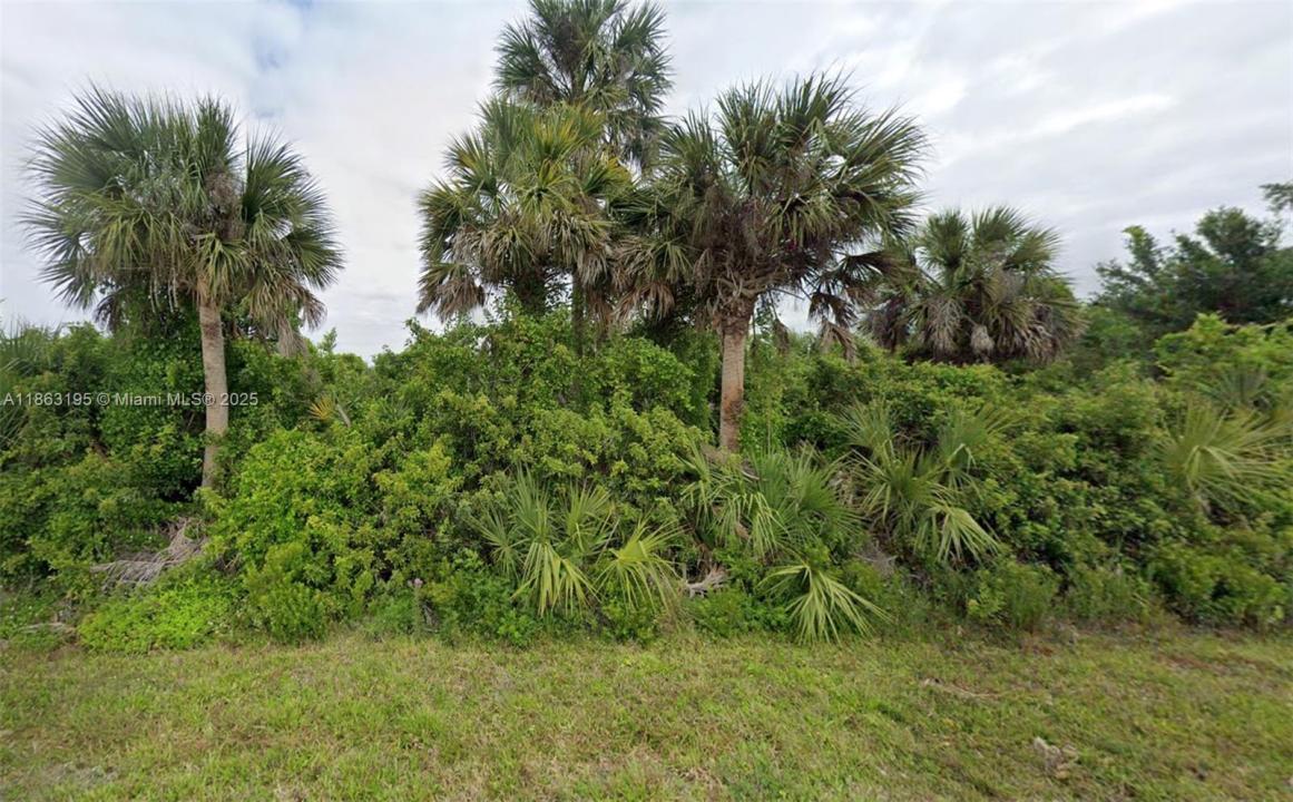 12199 Grouse Ave, Port Charlotte, Флорида 33981, Соединенные Штаты