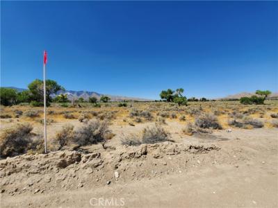 California 18 Highway, Lucerne Valley, カリフォルニア 92356, アメリカ合衆国