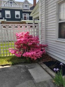 36 Underwood Street, Pawtucket, Rhode Island 02860