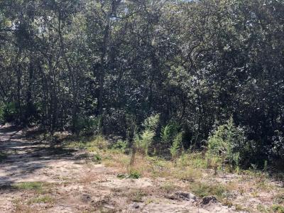 0 Oregon Street, Interlachen, Floride 32148, États-Unis