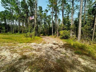 1404 SW Pacific Drive, Other City - In The State Of Florida, フロリダ 32331, アメリカ合衆国