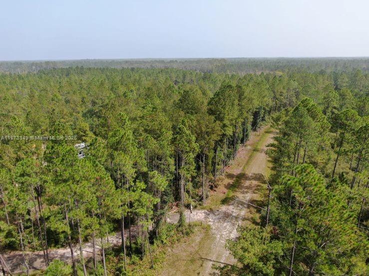 1404 SW Pacific Drive, Other City - In The State Of Florida, フロリダ 32331, アメリカ合衆国