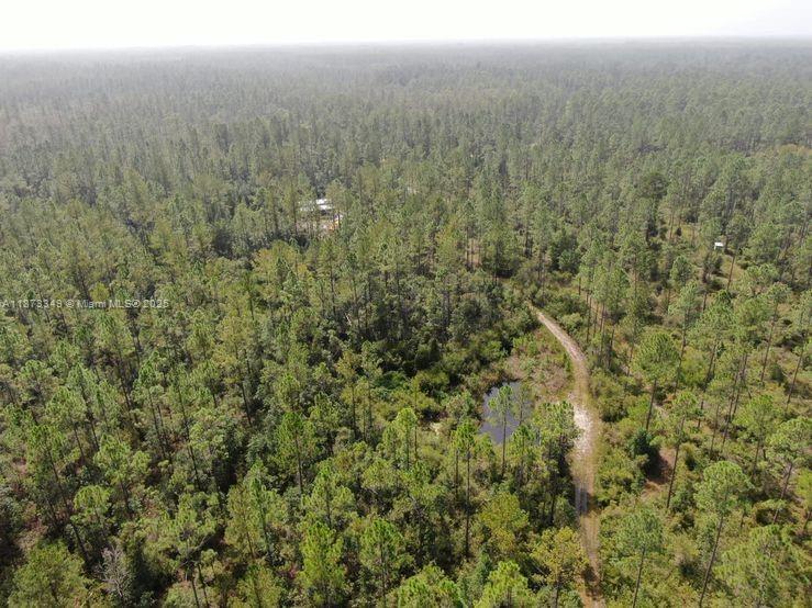 1404 SW Pacific Drive, Other City - In The State Of Florida, フロリダ 32331, アメリカ合衆国
