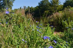 VZ County Road 1820, Grand Saline, 텍사스 75140, 미국