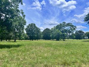 695 County Road 1210, Lake Creek, Texas 75450, États-Unis