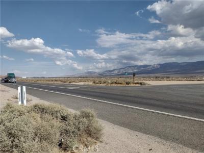 Highway 18, Lucerne Valley, カリフォルニア 92356, アメリカ合衆国