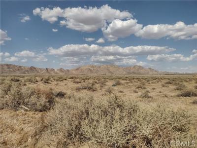 Highway 18, Lucerne Valley, カリフォルニア 92356, アメリカ合衆国