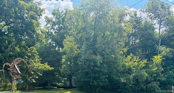 58 Britton Street, Pine Plains, New York 12567, HOA KỲ