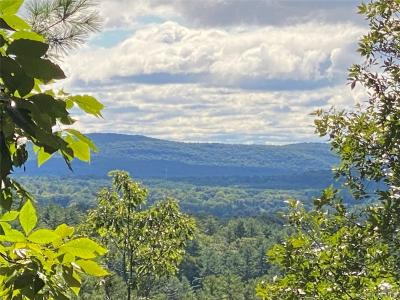 0 Dug Hill Road, Hurley, New York 12443, USA