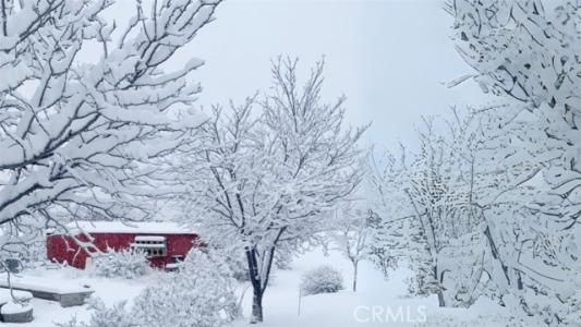 Chihuahua Valley Road, Warner Springs, Калифорния 92086, Соединенные Штаты