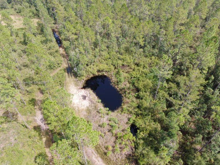 1404 SW Pacific Drive, Other City - In The State Of Florida, Florida 32331