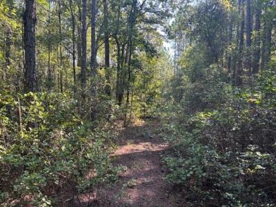 224 SE 8th Avenue, Palatka, 佛羅里達州 32177, 美國