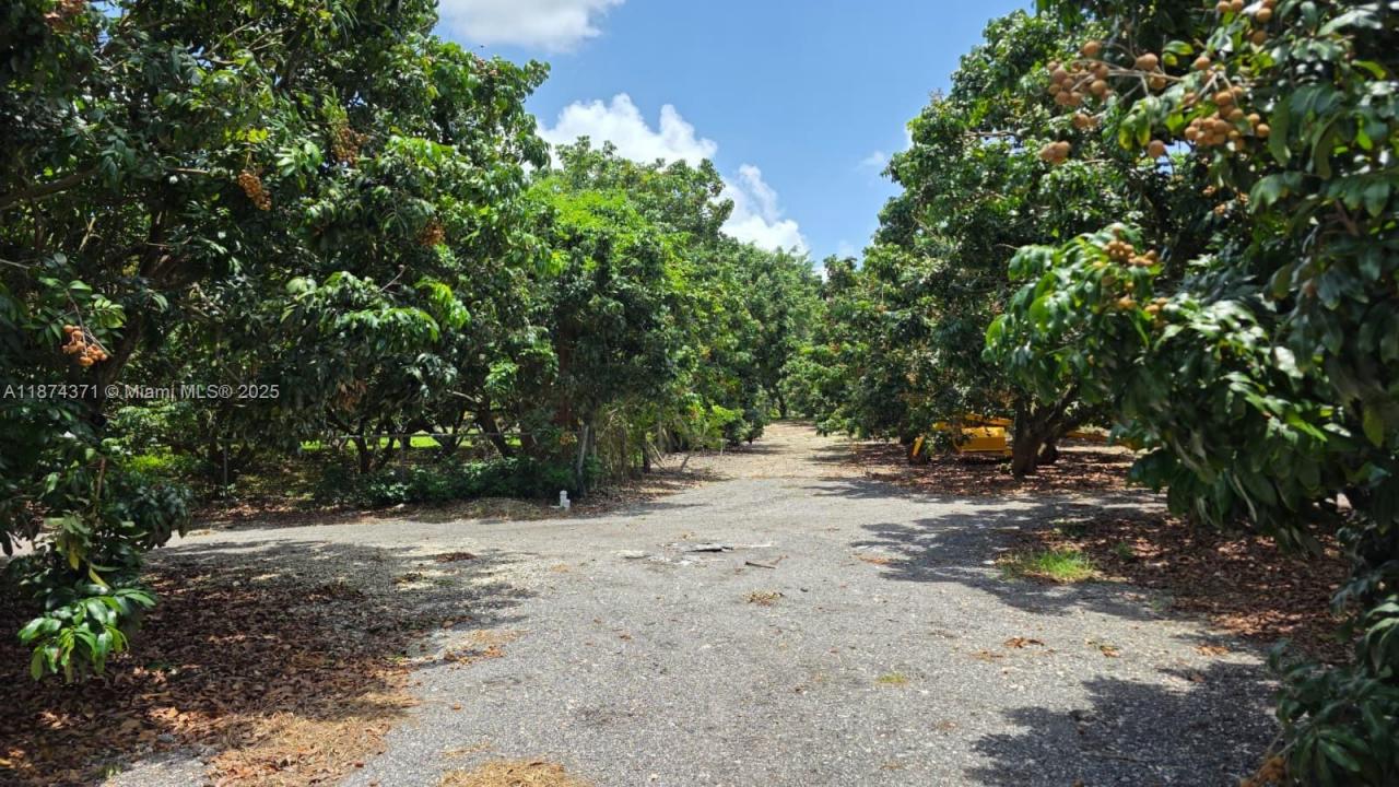 20970 SW 296 St., Homestead, פלורידה 33030, ארצות הברית של אמריקה 