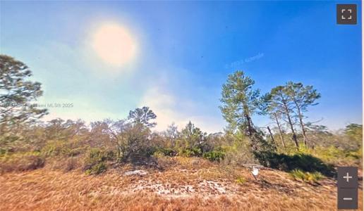 1048 hackmatack, Lake Placid, Florida 33852, HOA KỲ