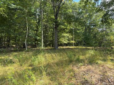 42 Pond Lilly Road E, Ancram, نيويورك 12502, الولايات المتحدة